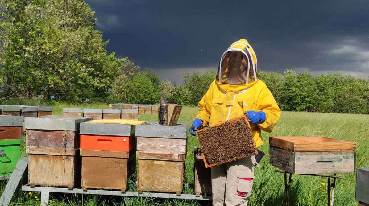 Sabato 29 gennaio – Seminario “Impatto del cambiamento climatico sulle api e sull’apicoltura”