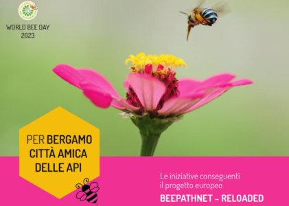 WORLD BEE DAY 2023 BERGAMO CITTA’ AMICA DELLE API